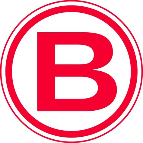 Image result for Logo Boluda