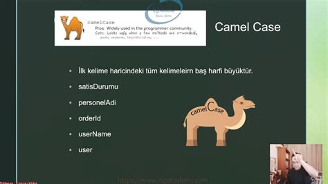 Image result for Upper Camel Case