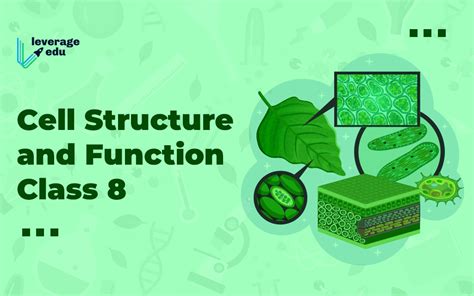 Image result for Cell Structure and Function Class 8 PDF