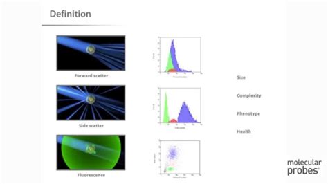Flow Cytometry Tutorial కోసం చిత్ర ఫలితం