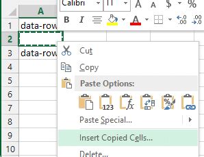 Image result for Insert Copied Rows in Excel