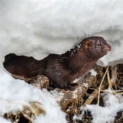 Image result for Reconectar Con Naturaleza