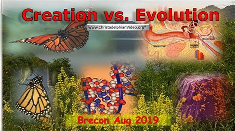 Toradh íomhá ar Creation vs Evolution