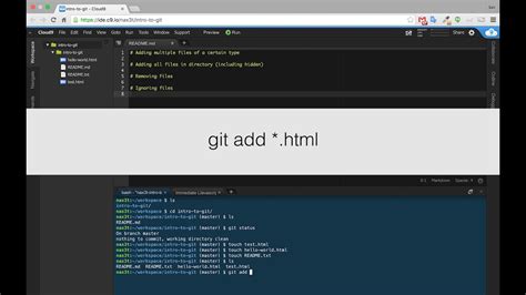 Git Add Certain Files-க்கான படிம முடிவு