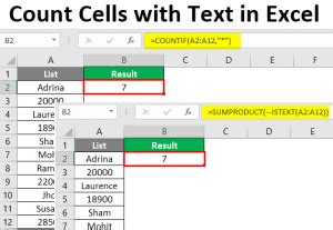 Image result for Count Function Excel for Text