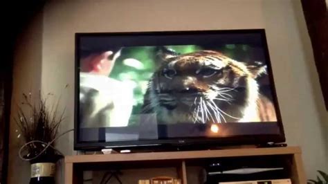 Image result for Double Feature DVD Opening Along