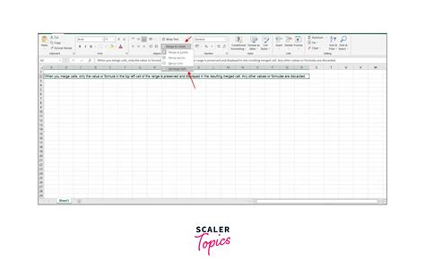 How to Merge Cells in Microsoft Excel に対する画像結果