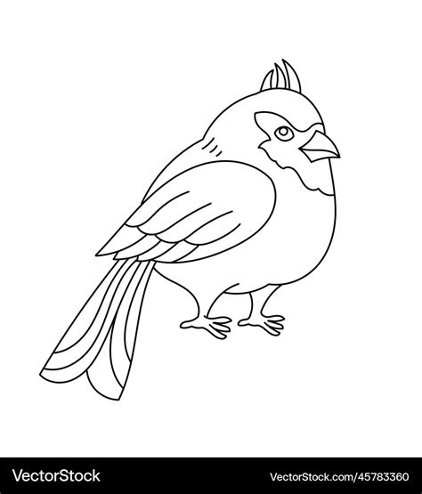 Toradh íomhá ar Cardinal Bird Outline Drawing