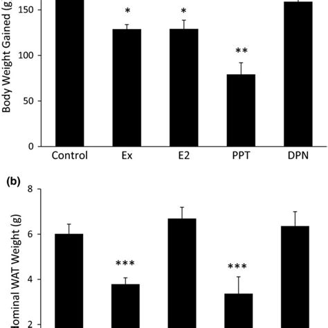 Afbeeldingsresultaten voor Wat Adipose Tissue