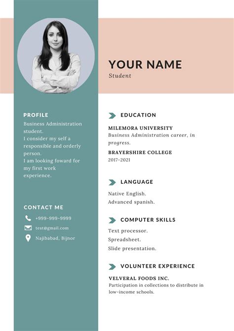 CV Template for Students에 대한 이미지 결과