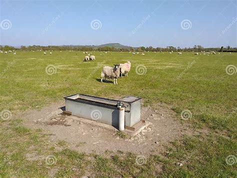 Image result for Connecting Water Trough in Field