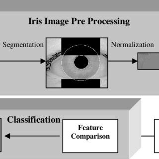 Iris Data Flow Diagram に対する画像結果