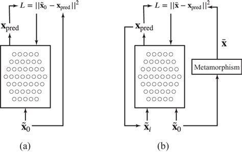 Image result for Distinguish Between Sparse Autoencoders and Denoising Autoencoder