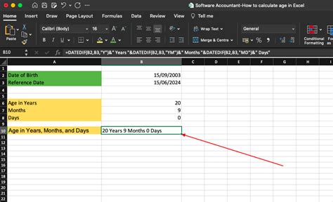 Image result for How to Formulate Age in Excel
