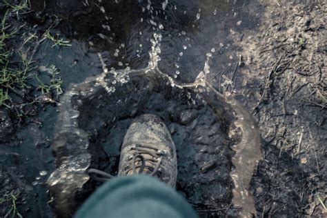 Image result for Dive into Puddle