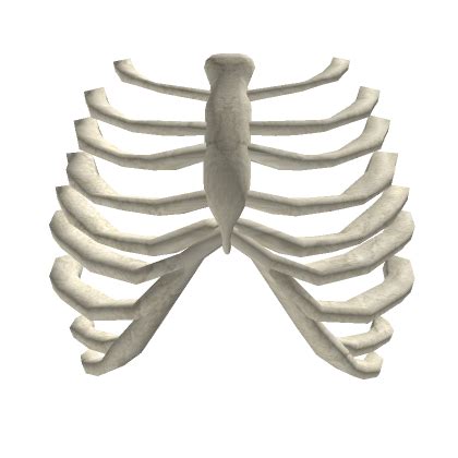 Roblox Ribs Allgations ಗಾಗಿ ಇಮೇಜ್ ಫಲಿತಾಂಶ