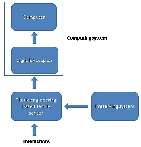 Toradh íomhá ar Sensor Working Principle Block Diagram