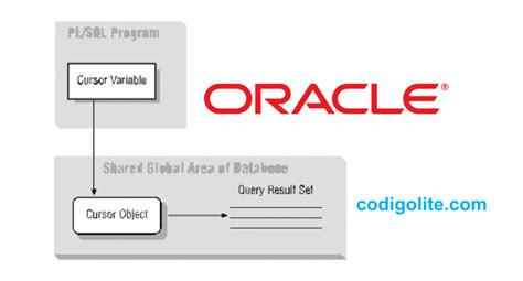 Image result for Cursor Variable in Oracle
