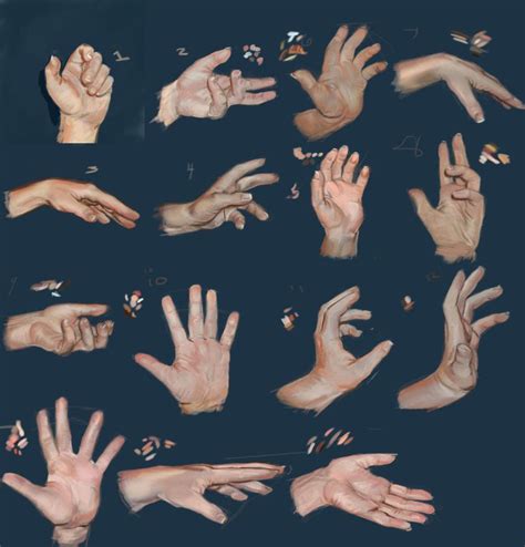Toradh íomhá ar Artist Hand Reference