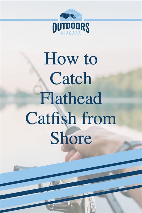 Image result for How to Catch Catfish.com