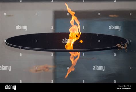 Toradh íomhá ar Eternal Flame Green Roblox