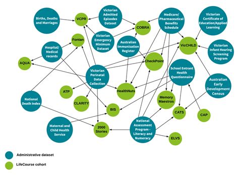 Image result for Life Course Diagram