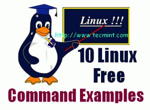 Image result for Free Memory Linux Command