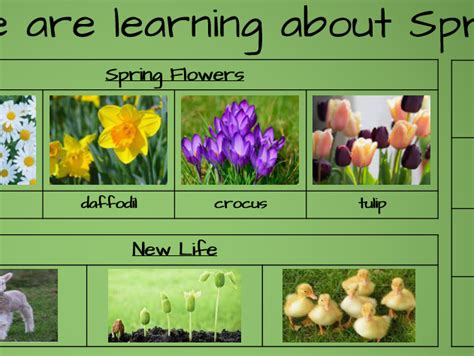 Image result for Spring Facts EYFS