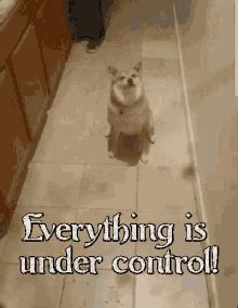 Image result for I Got You Under My Control Meme