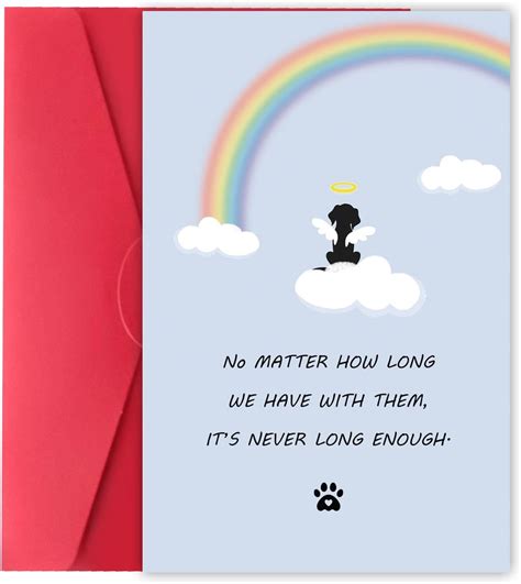 Image result for Doy Lossy