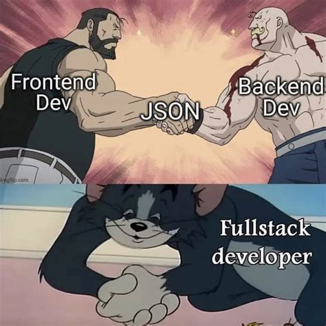 Afbeeldingsresultaten voor Frontend/Backend API Meme