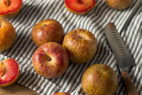 Image result for Red Plumcot