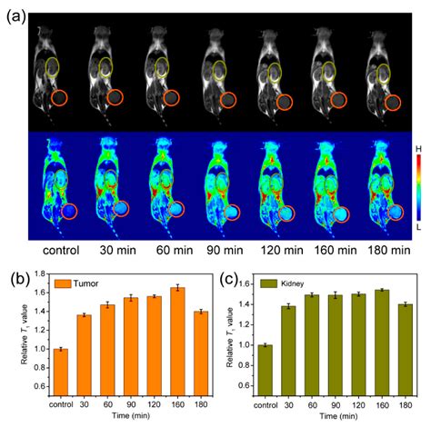 Image result for Magnetite Crystal Model