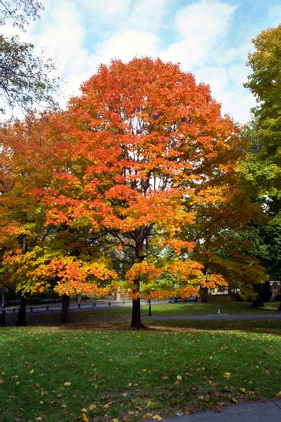 Image result for Fall Seasons