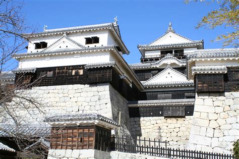 Image result for 松山 城