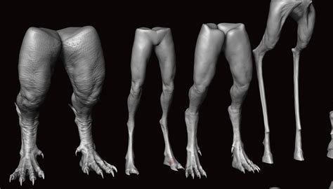 Image result for Creature Legs Reference 3D Model