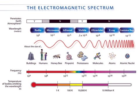 EMV Spectrum に対する画像結果