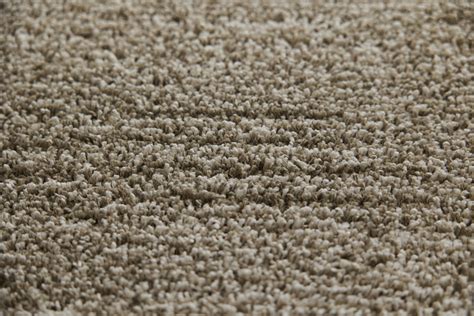 Sol Compact に対する画像結果