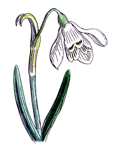 Image result for Animated Spring Clip Art