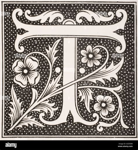 Cursive Calligraphy Capital T ಗಾಗಿ ಇಮೇಜ್ ಫಲಿತಾಂಶ