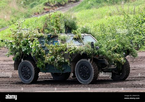 Toradh íomhá ar Roblox Jgsdf