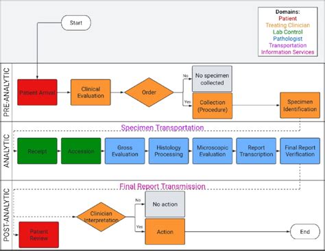 Image result for Google Co-Laboratory Workflow Diagram