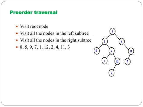 Image result for Forest and Trees Data Structure in Research
