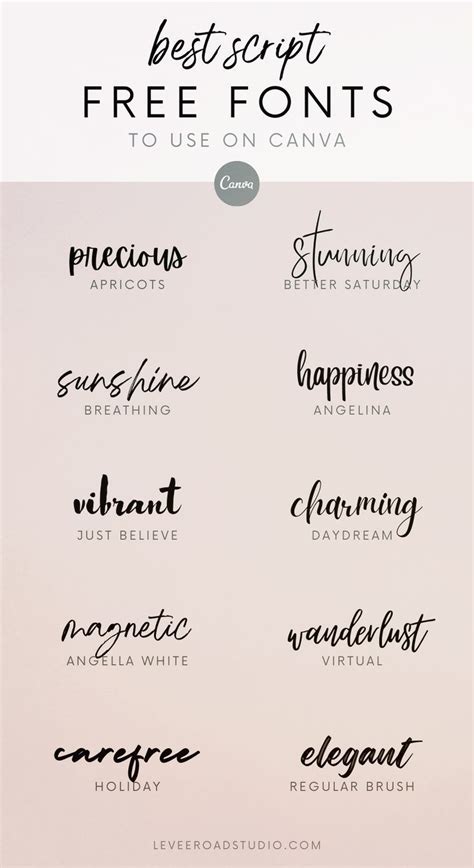 Best Free Script Fonts on Canva