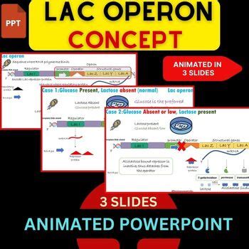 Toradh íomhá ar Lac Operon Concept