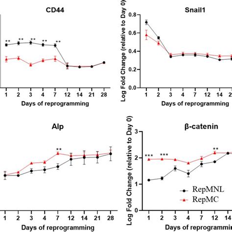Afbeeldingsresultaten voor Phases of Gene Expression