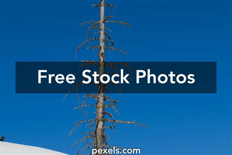 Image result for Job Add Single Employee Photo