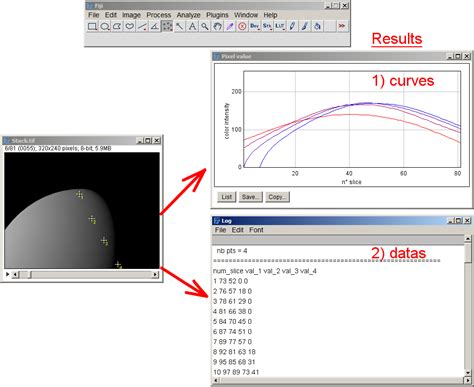 Image result for ImageJ Plot Profile Stack