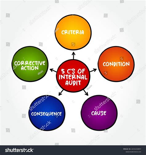 Image result for Nsoa Audit Process Mind Map