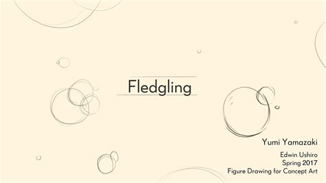 Animation Visual Development 的图像结果